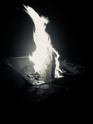 IMG_7138 2